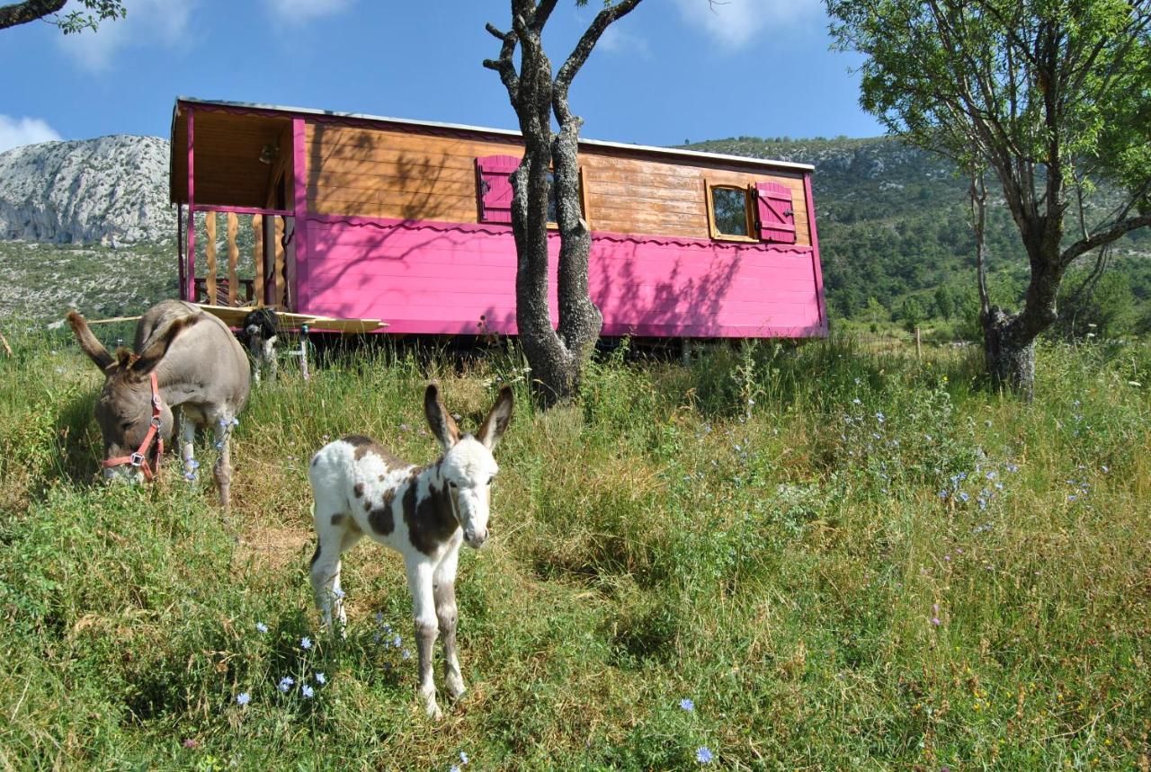 ホテルFerme Saint Pierre Bargème エクステリア 写真