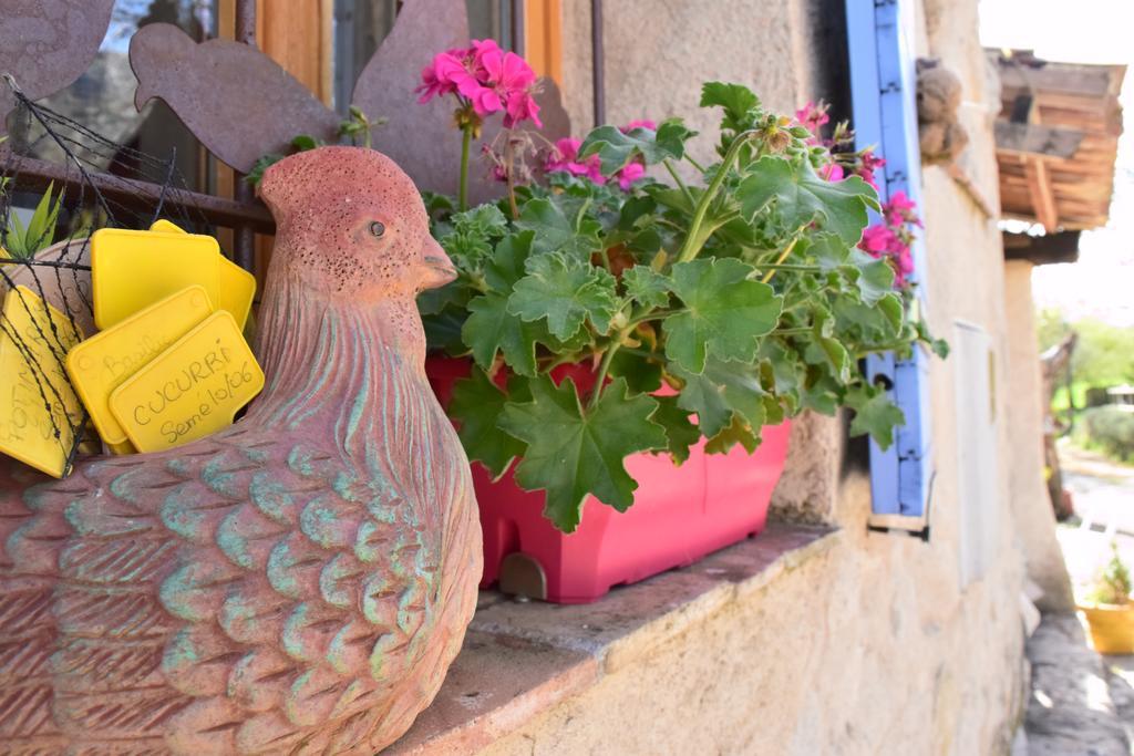 ホテルFerme Saint Pierre Bargème エクステリア 写真